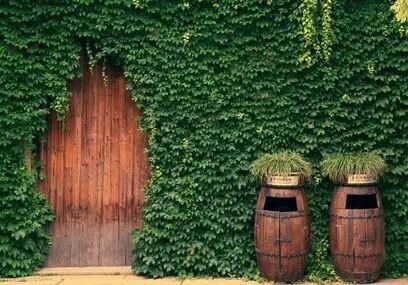 青岛垃圾桶 青岛垃圾桶